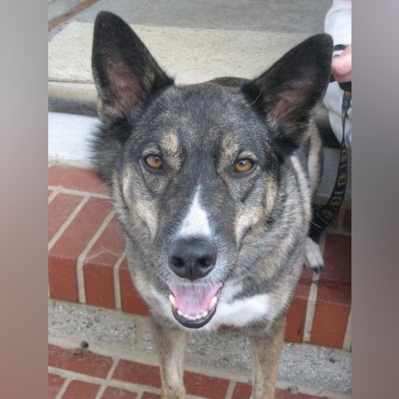 Inspiring your complete fashion makeover! Your personal Baltimore stylist! 😁 - Picture 4 of 16